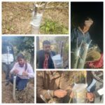 डोटी जिल्लामा कृषि ज्ञान केन्द्र डोटीले ओखरमा ‘टप ओर्किङ अभियान सञ्चालन