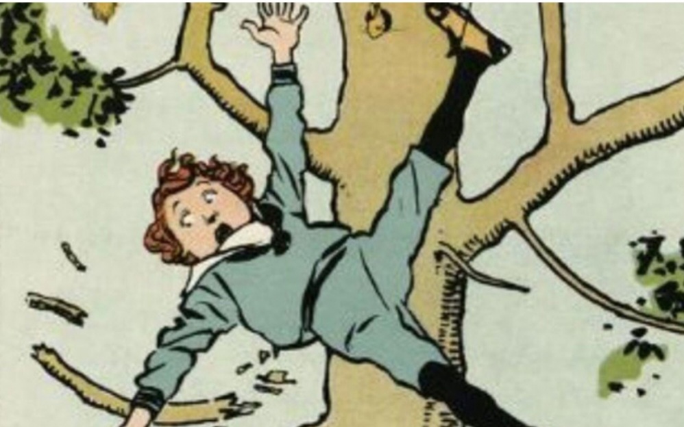 डोटीमा रूखबाट लडेर एक बालिका घाइते